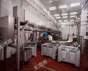 俄羅斯38250平方米現代化肉類加工廠轉讓，融合網絡技術開發新機遇